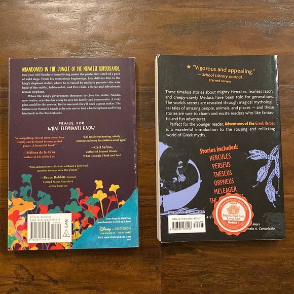 11 Teen YA Chapter Book Bundle | Reading Level 4-5 | Ages 10+ - Picture 10 of 13